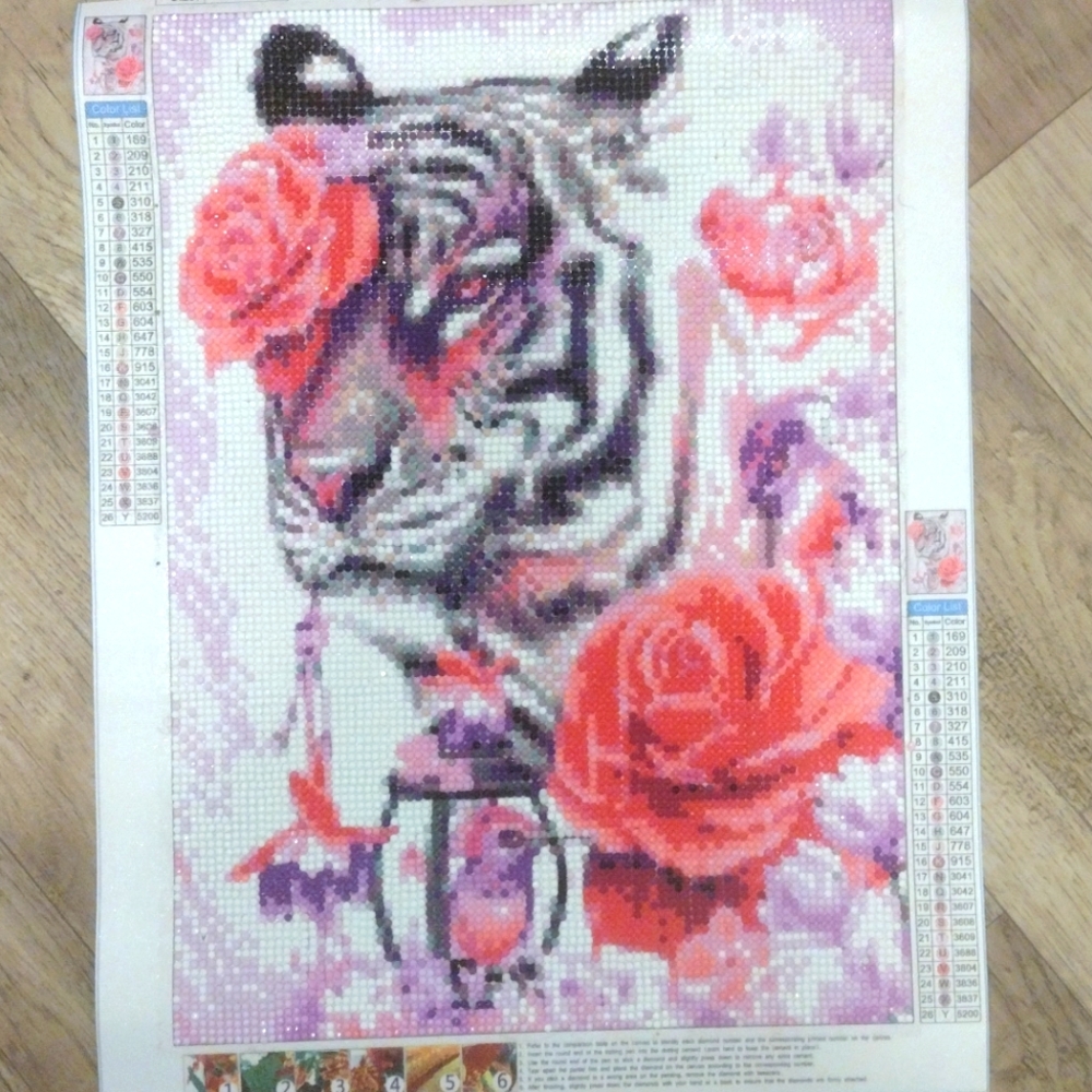 Brilliant Diamond Painting With Gloss Finish